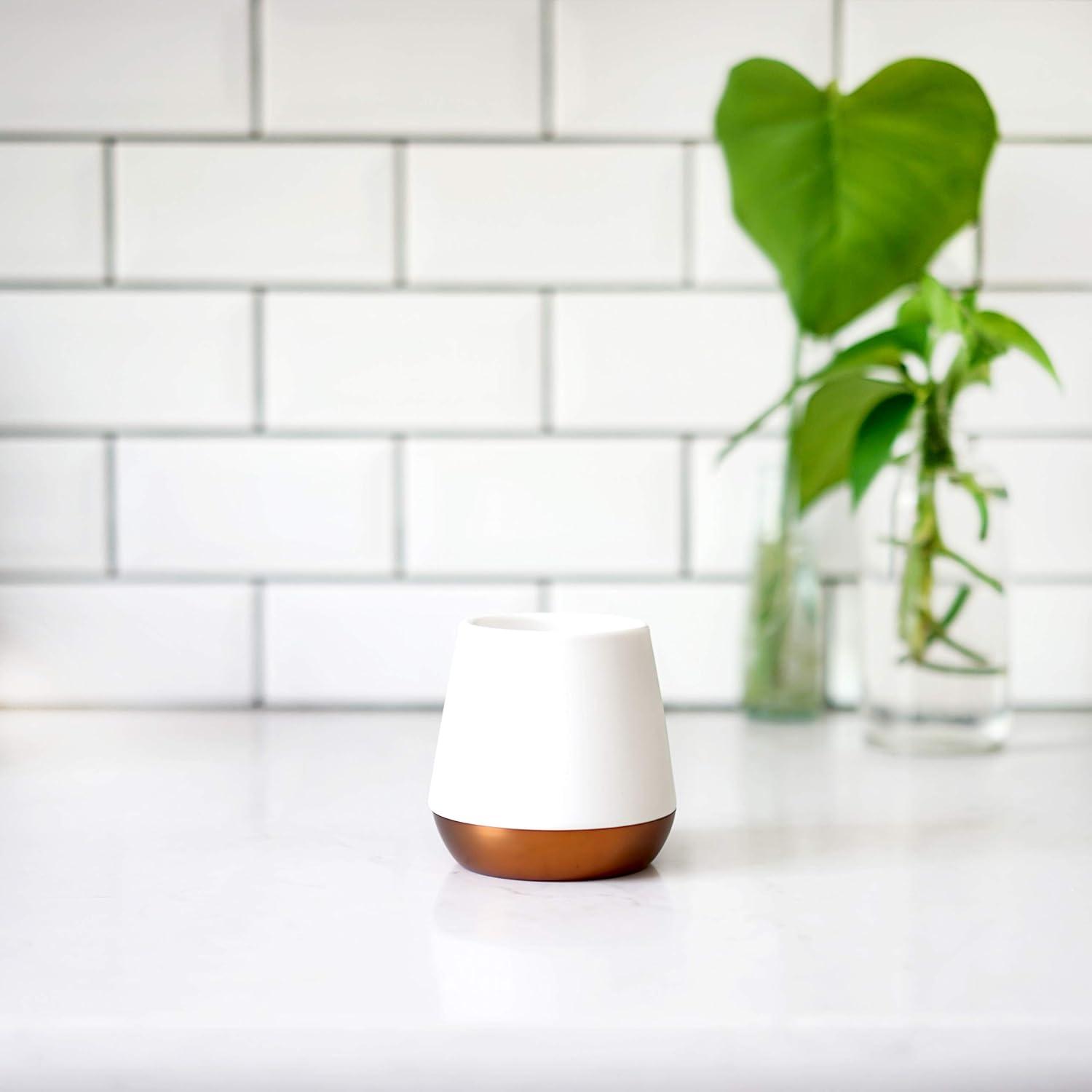 imageFellow Joey Double Wall Matte Black ampamp White Sophisticated Ceramic Coffee Mug Bundle 8 oz Set of 2